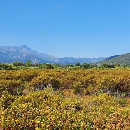 Duplex 4-6 P, Terrasses, Piscine, Climatise, Lozari, Corse Apartment *