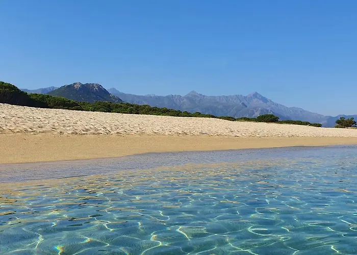 Apartmán Duplex 4-6 P, Terrasses, Piscine, Climatise, Lozari, Corse *